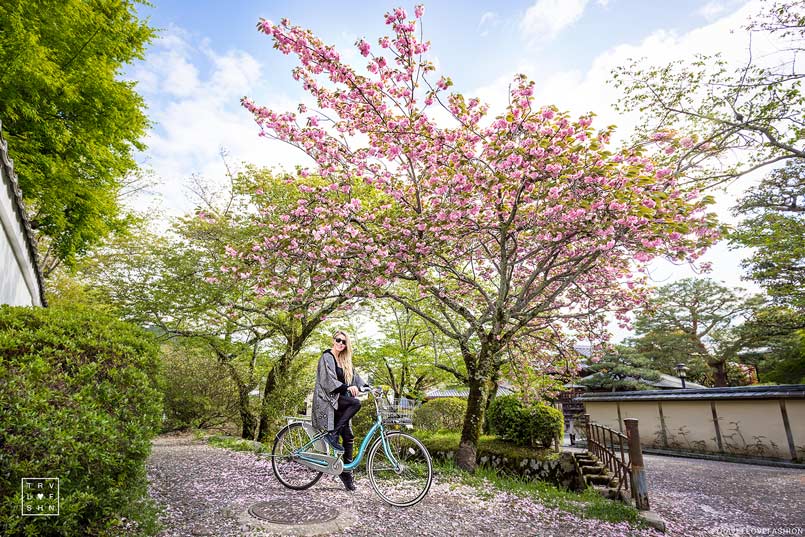 Cherry Blossoms Japan Best Spots