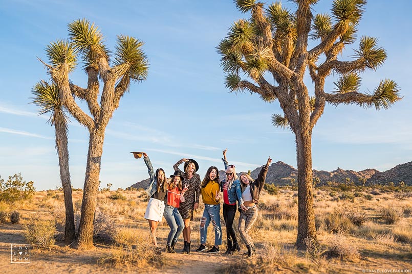 JOSHUA TREE TRAVEL GUIDE