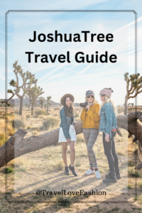 Joshua Tree Travel Guide