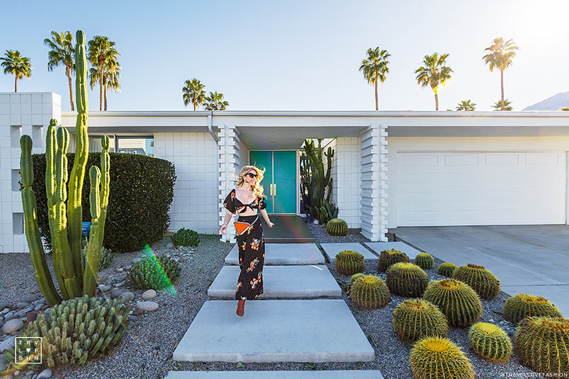 The Traveler's Guide to Downtown Palm Springs: Experience Top Places to  Shop, Eat & More!